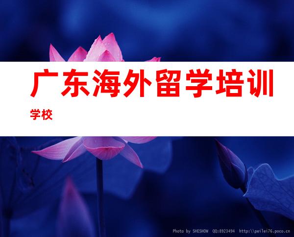 广东海外留学培训学校